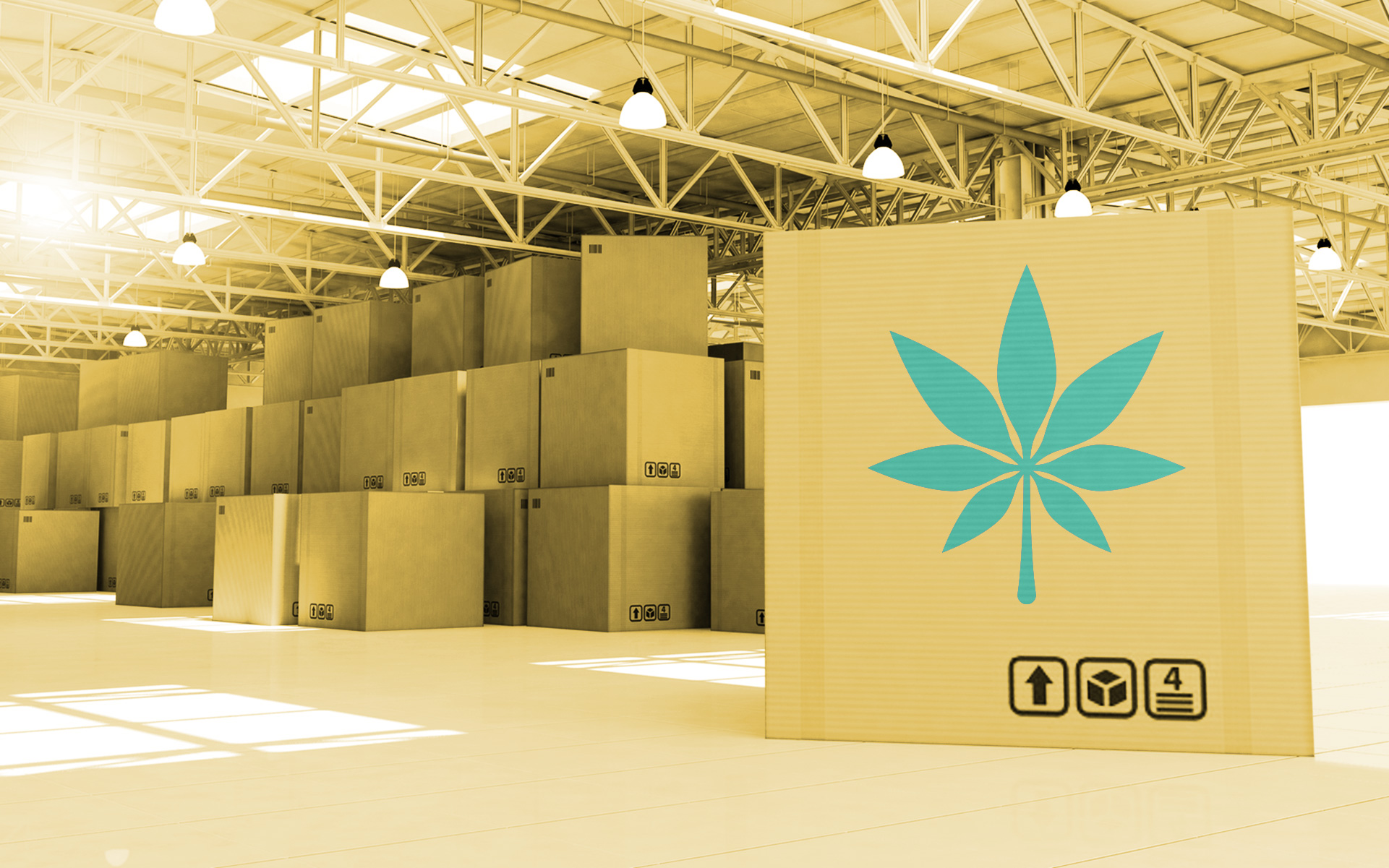 Costco inspired the founders of FLOWER CO to sell in bulk to loyal members.