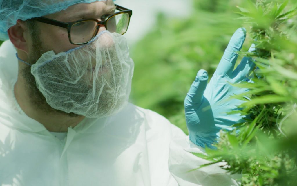 Seth Rogen houseplant https://www.newswire.ca/news-releases/welcome-to-houseplant-an-elevated-canadian-cannabis-company-866891919.html