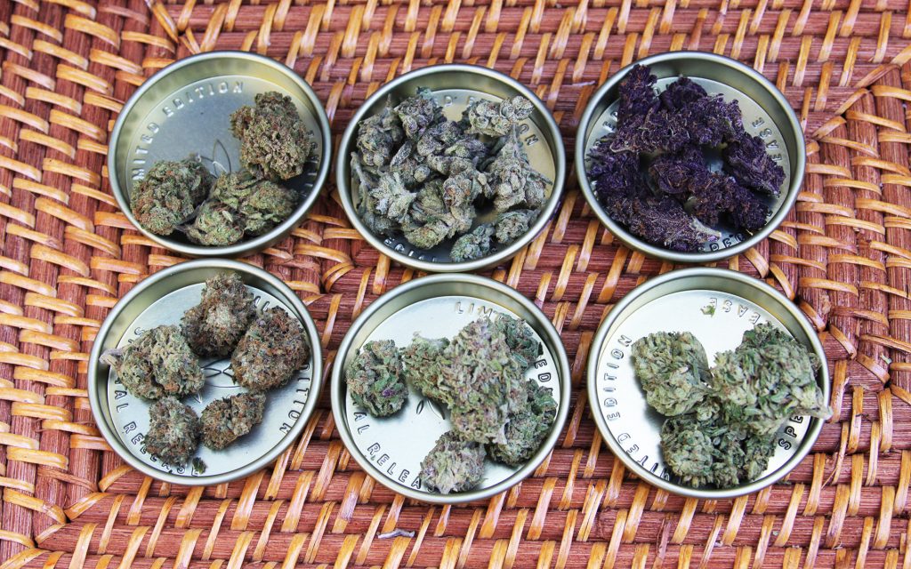 Go grab these limited edition award-winners at a club near you. (Elise McDonough for Leafly)