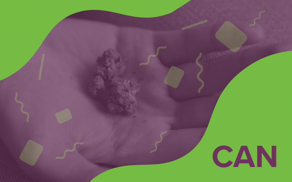 canada 4/20 deals
