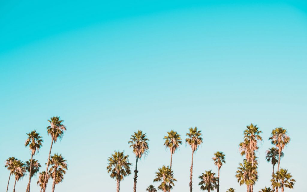420 Calfornia