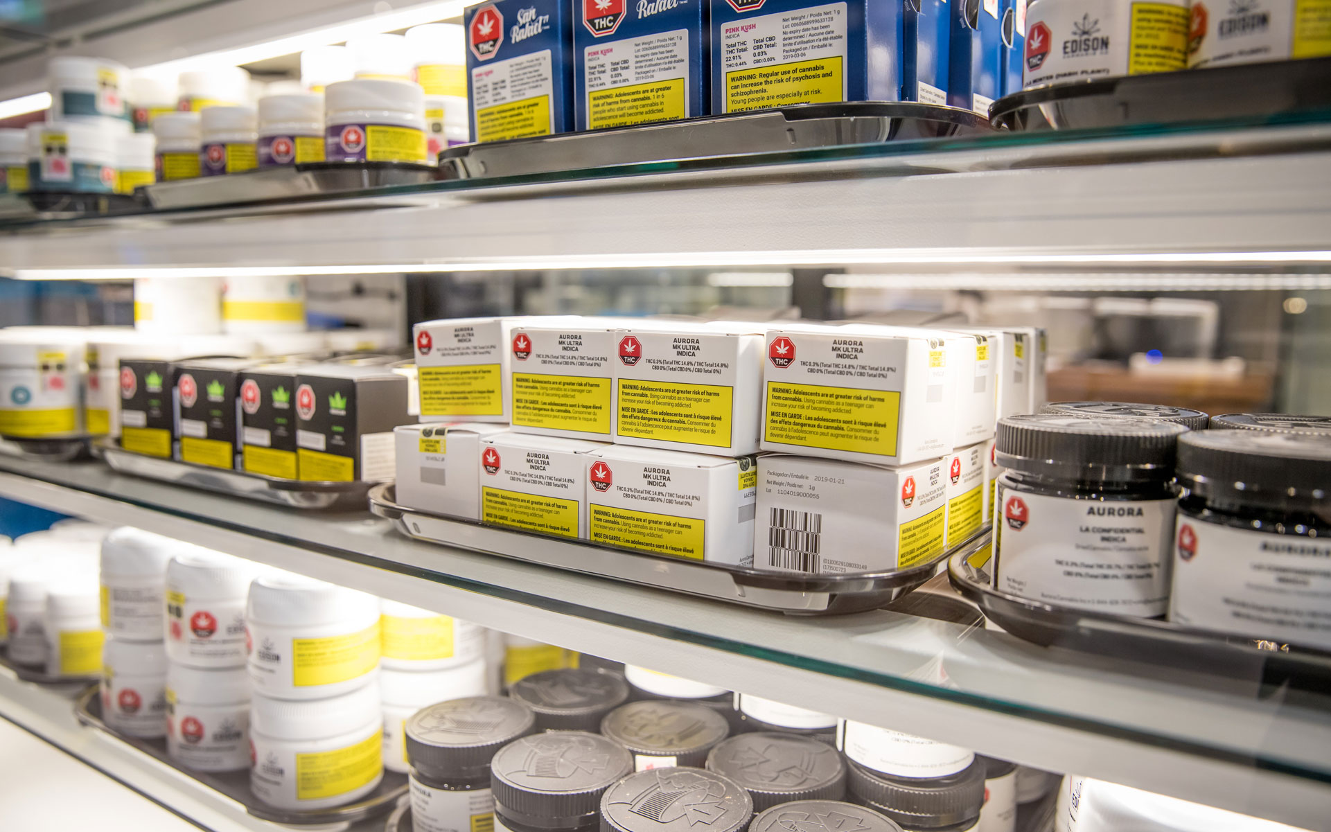 Nova Cannabis Toronto oversupply