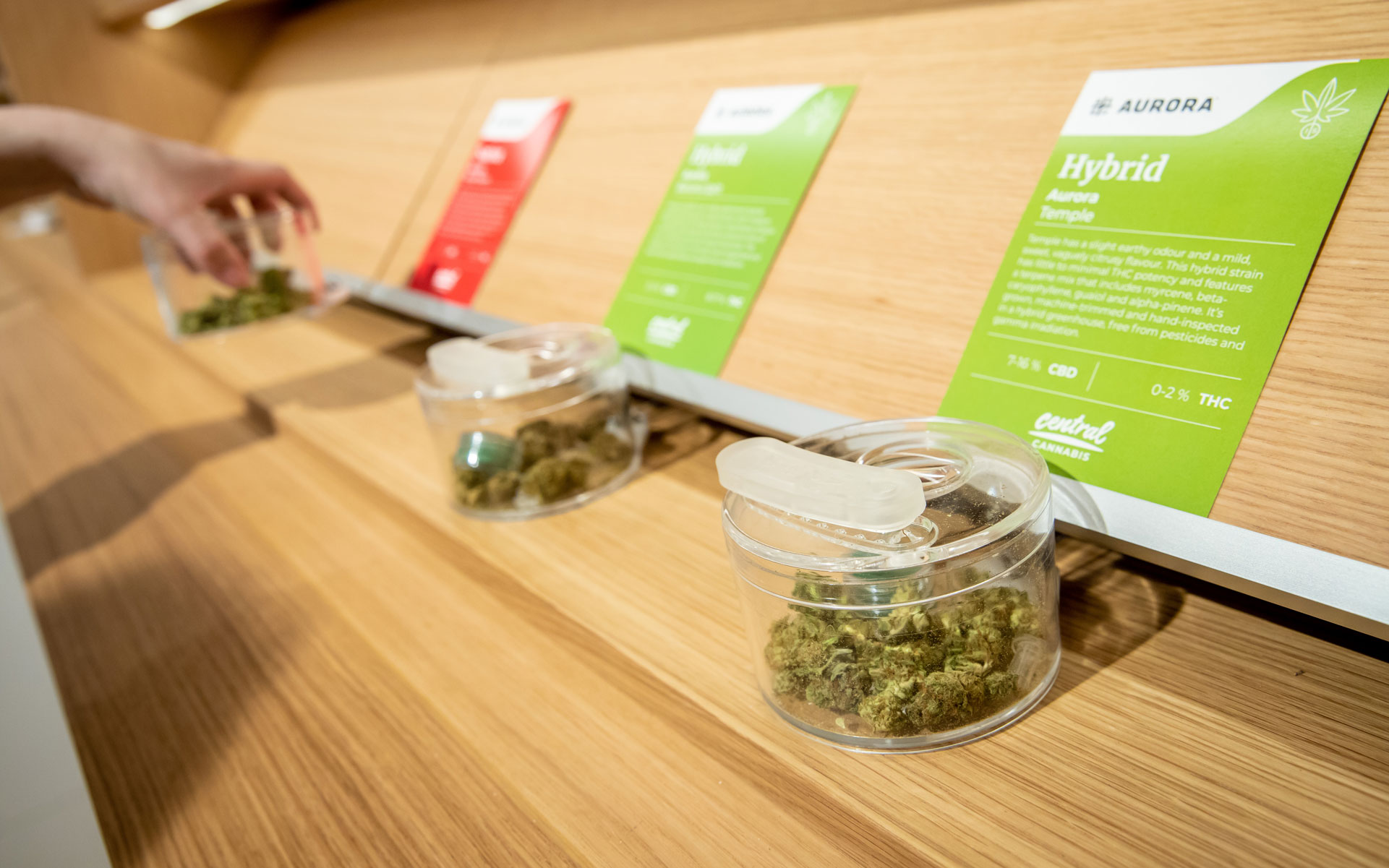 Central Cannabis London Ontario