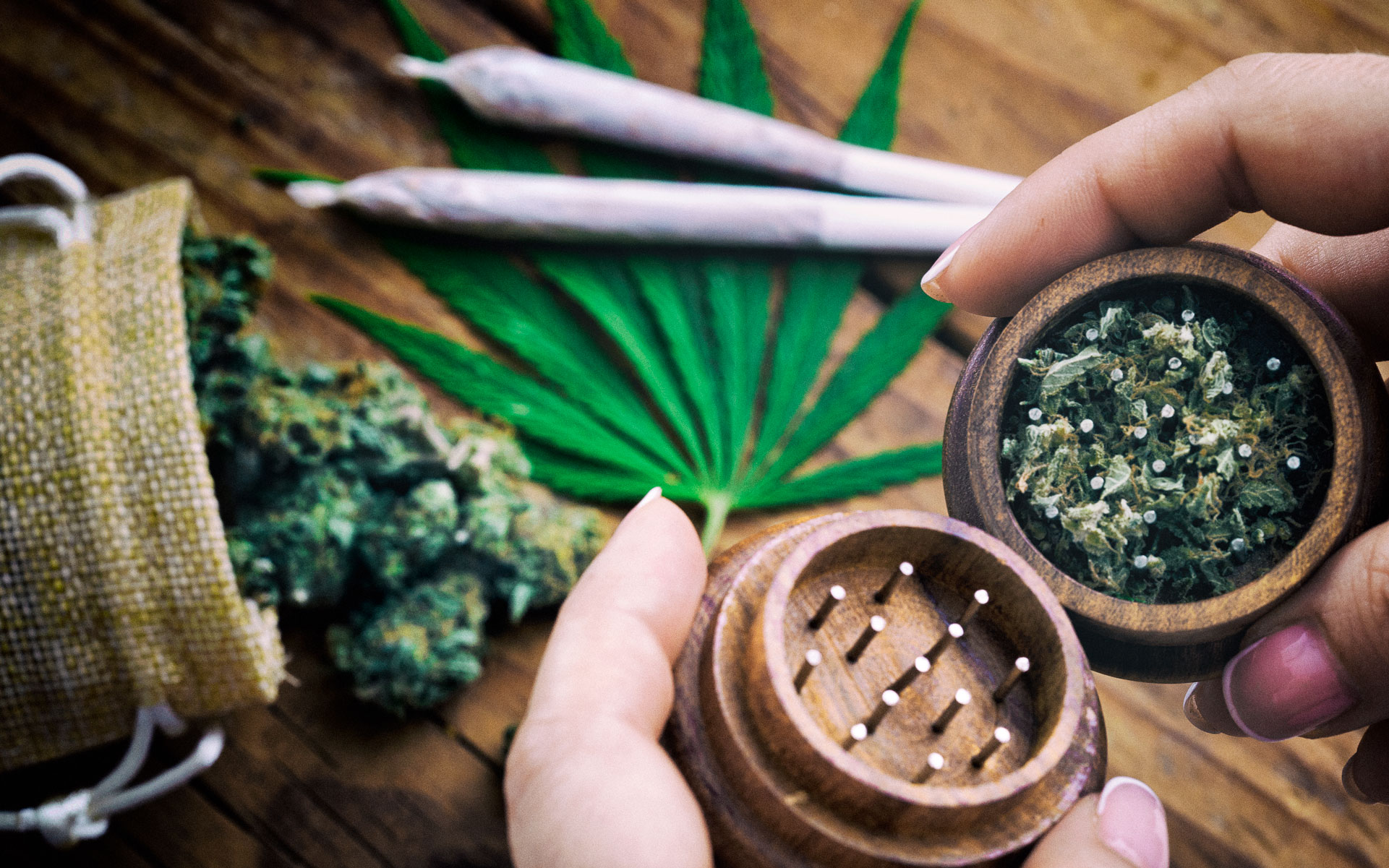 hemp CBD cannabis in grinder and joints