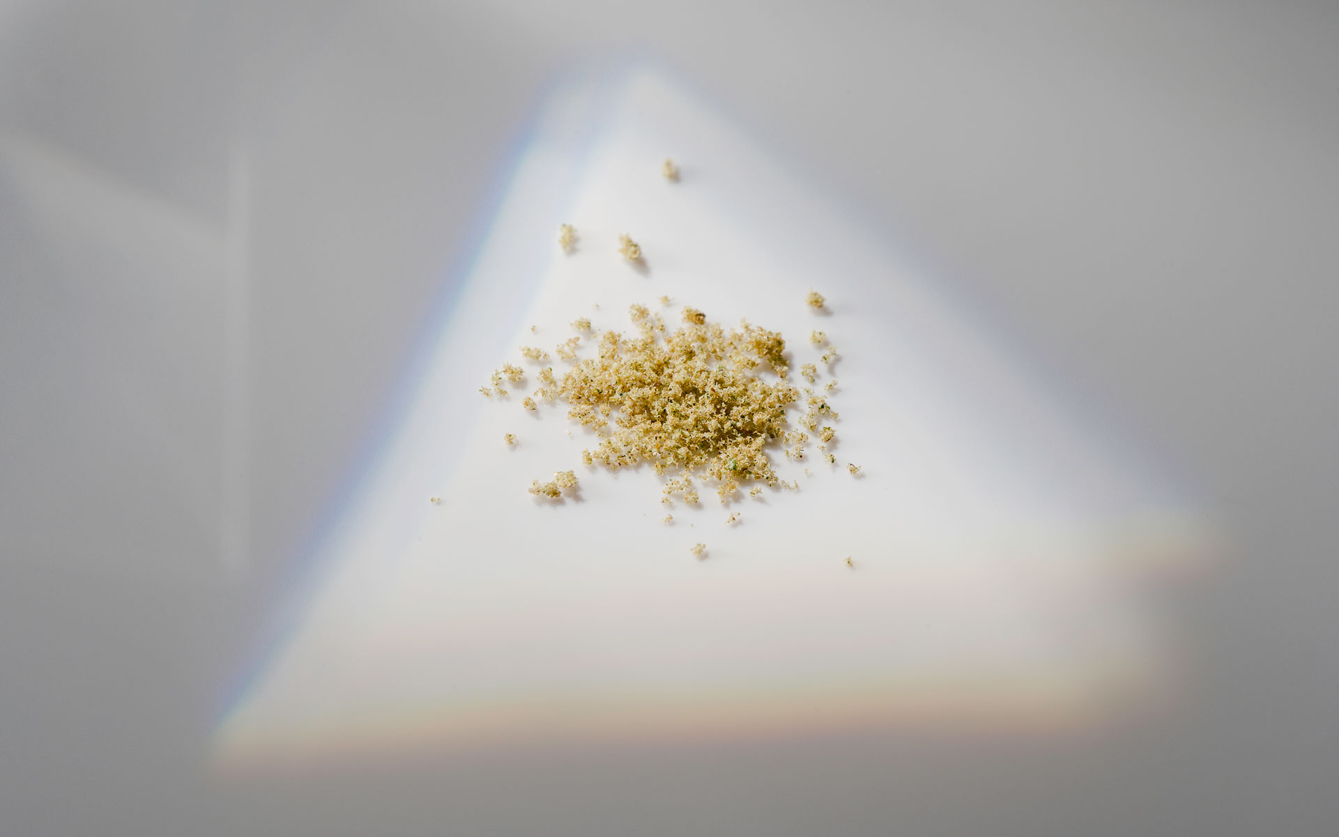 Kief