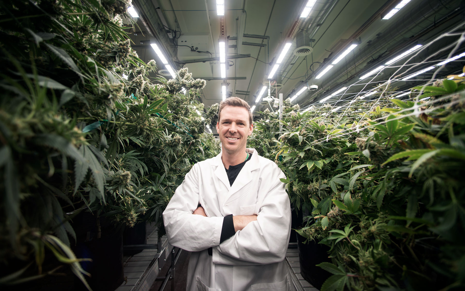 CEO Todd Brady in RX Green's research cannabis grow