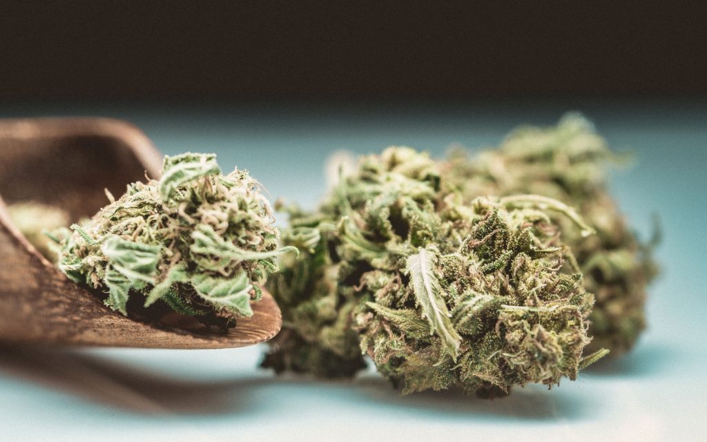 Alabama and Mississippi traditionally embrace prohibition, but small cannabis reforms are coming in the two Southern states.