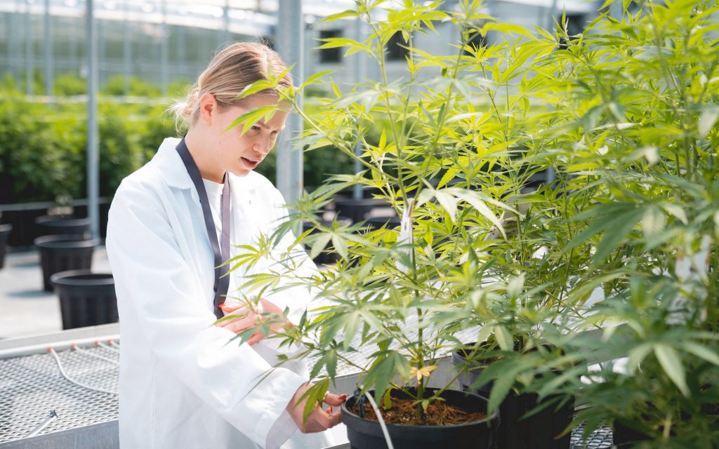 Tantalus labs