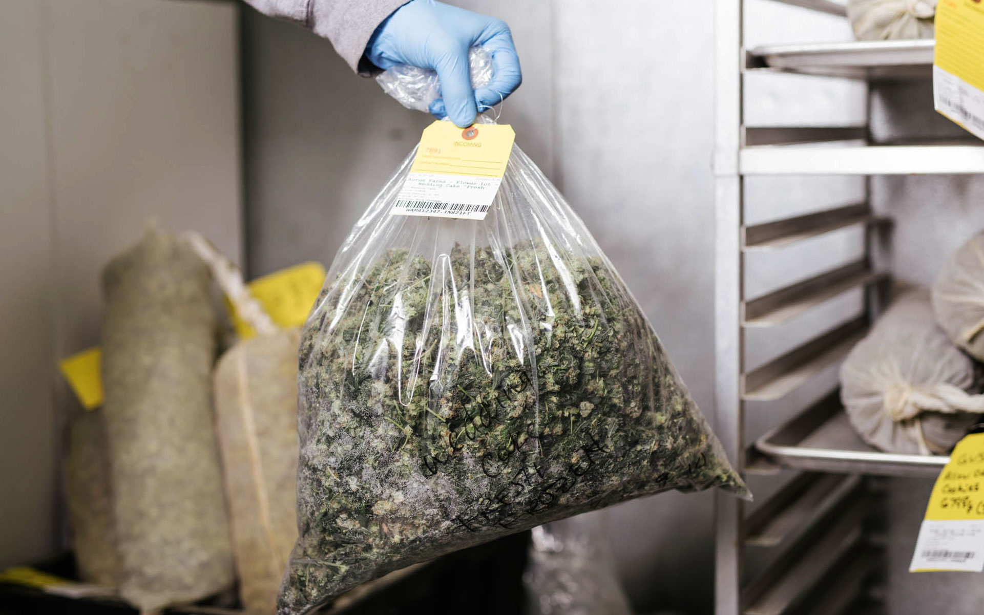 extraction, cannabis concentrate, marijuana concentrate