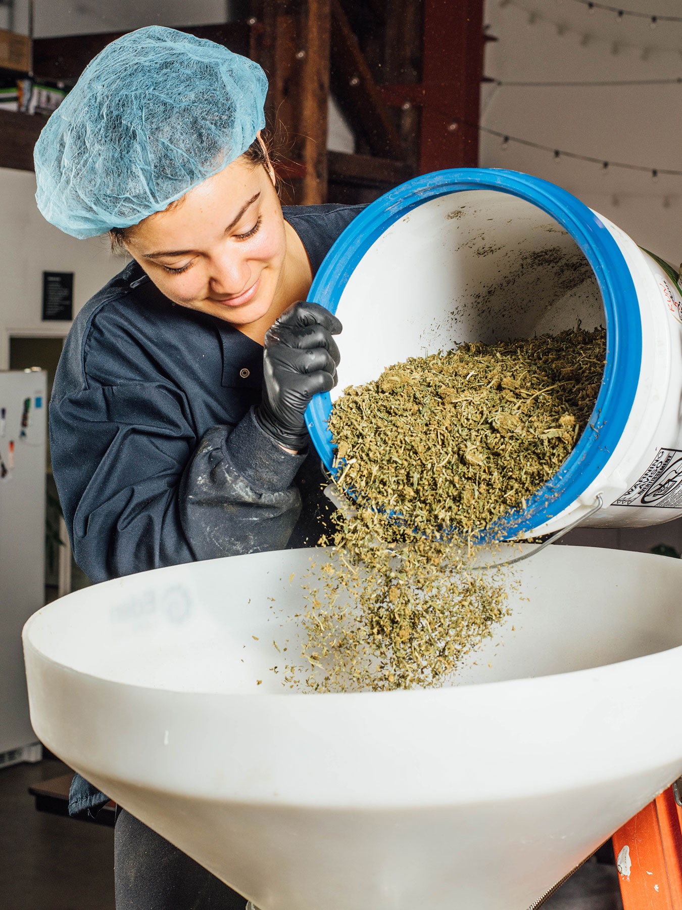 starting material, extraction, cannabis concentrate, marijuana concentrate
