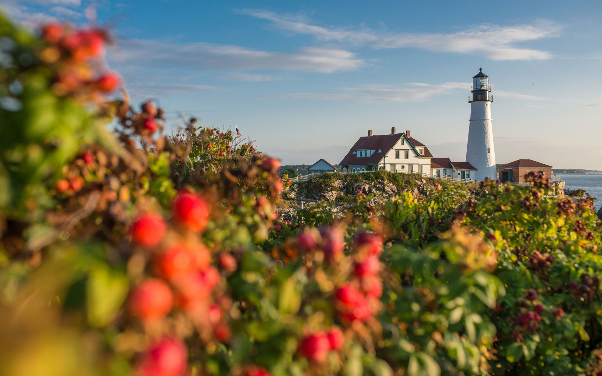 maine cannabis stores header image