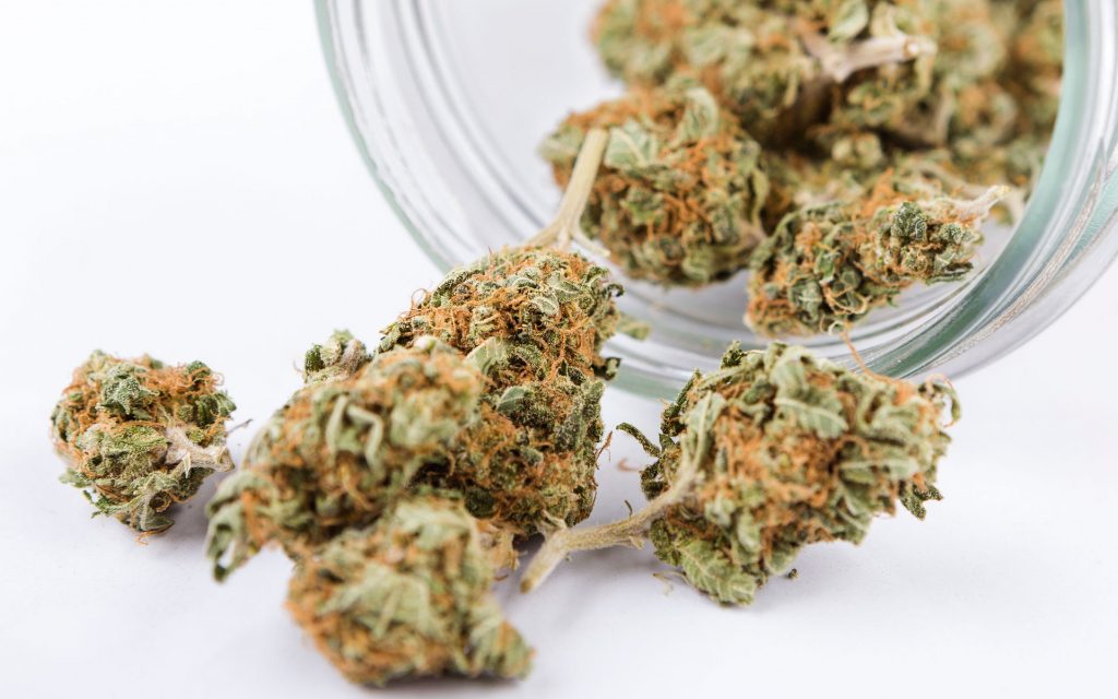 bud