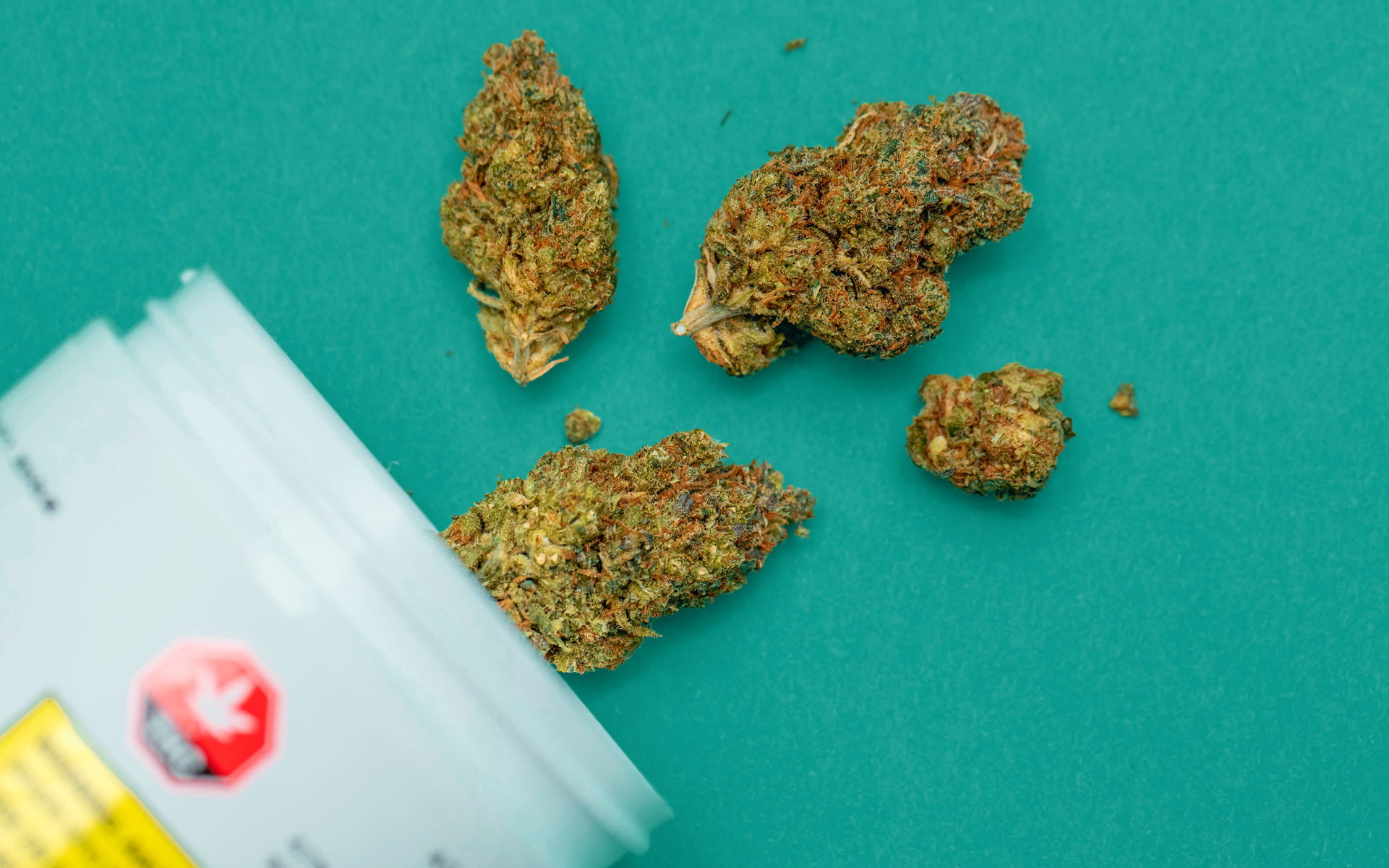, Which Canadian cannabis strains are the most balanced?, Styding CBD, Styding CBD