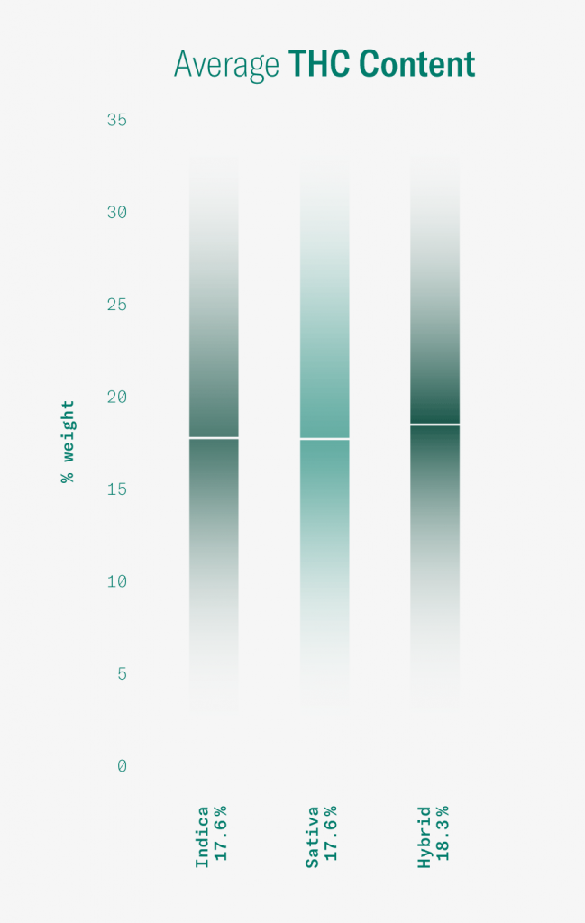 thc levels in indica, sativa, and hybrid weed strains