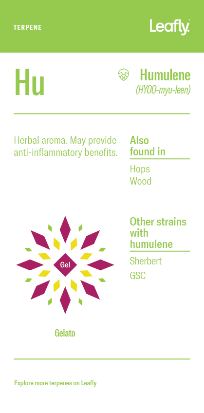 Humulene marijuana terpene