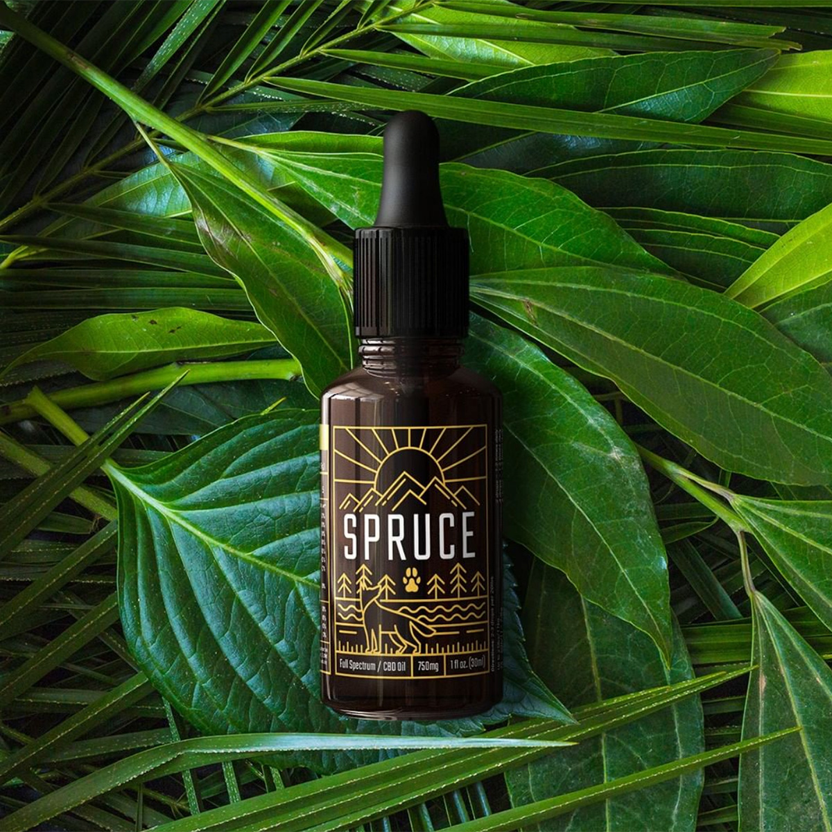organic full spectrum CBD oil, topical cream, buying cbd oil, organic cbd oil, lab grade cbd, Max Potency CBD Oil Tincture
