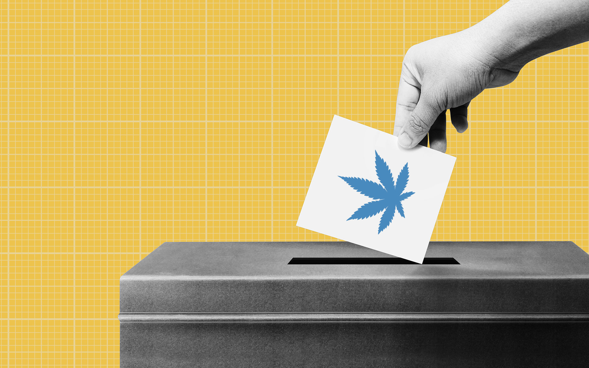 photo of Election 2020: All you need to know about cannabis legalization on the ballot image