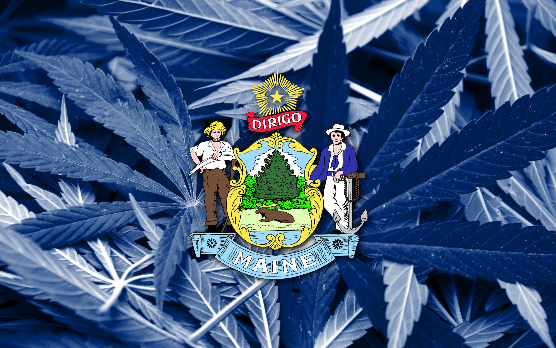 Maine-marijuana