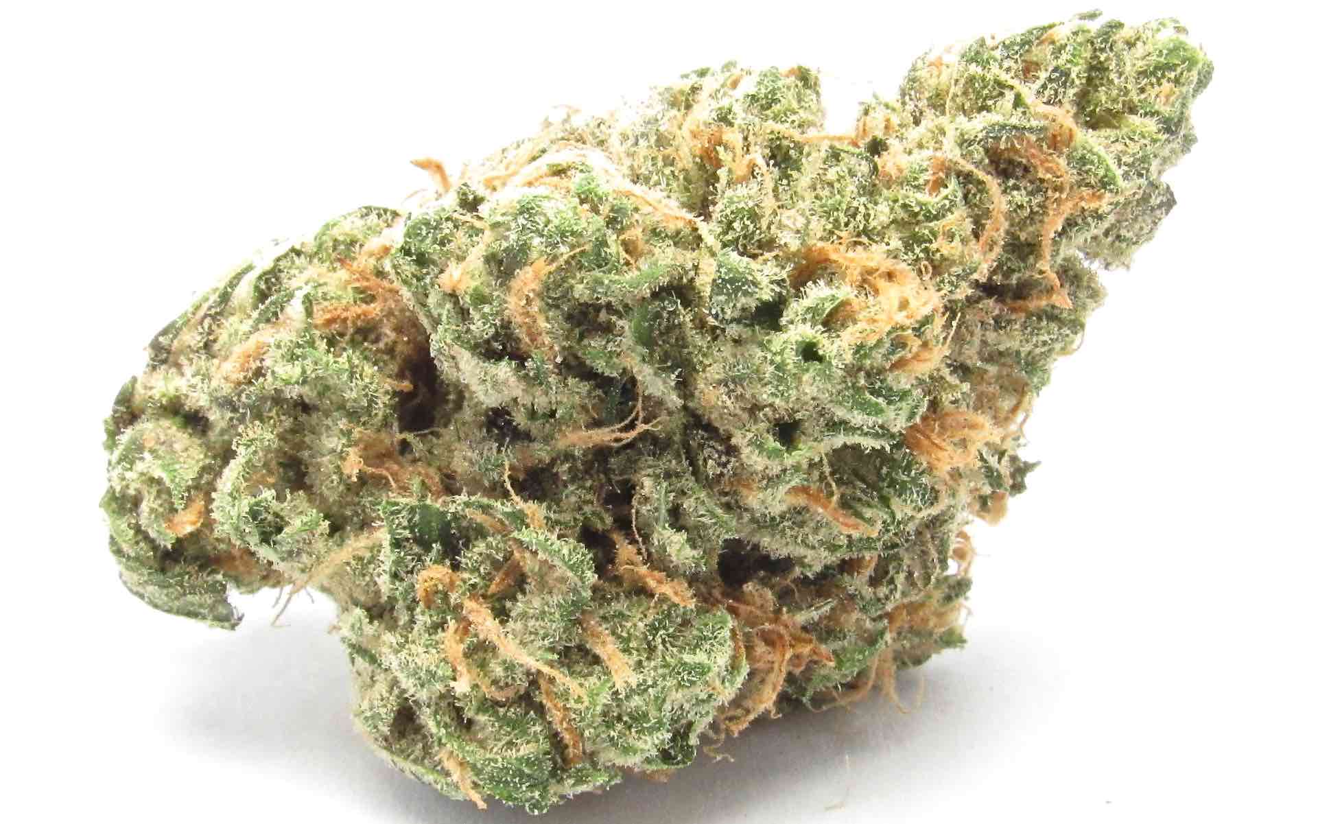 A classic flower for Mother's Day: Blue Dream. (David Downs/Leafly)